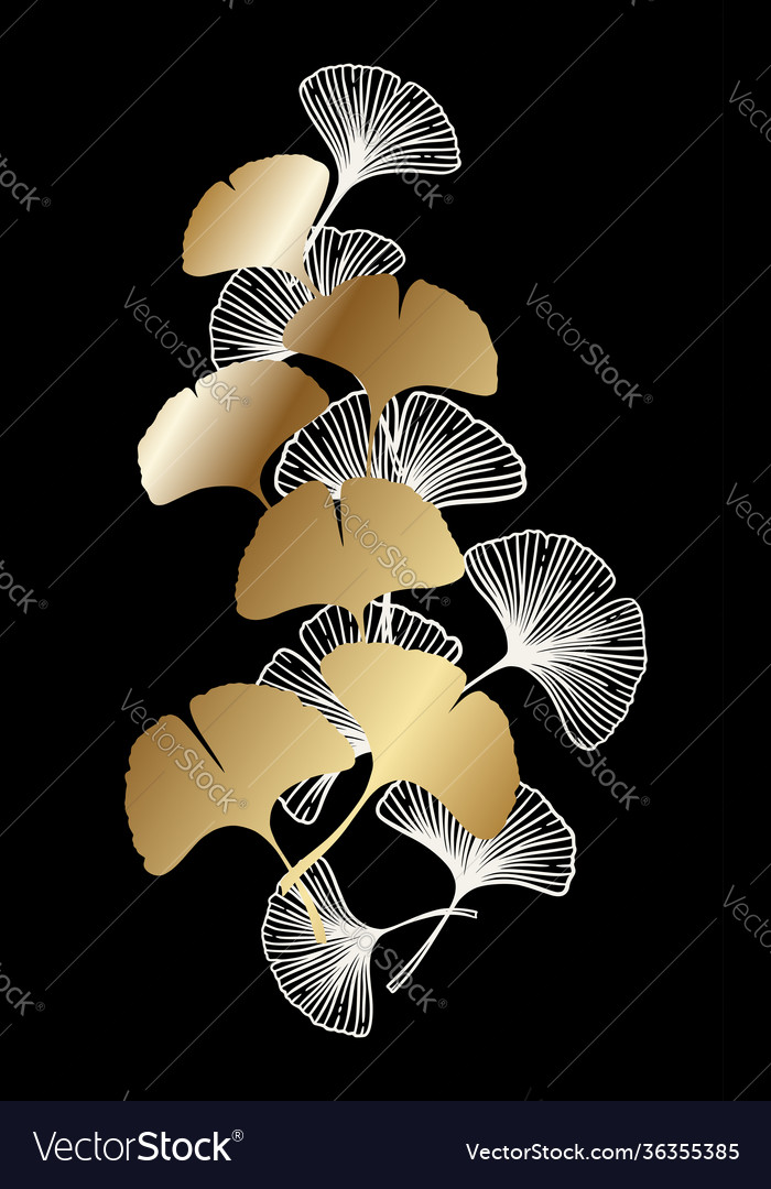 Ginkgo biloba decorative leaves isolated over