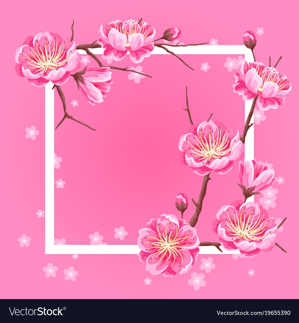 Frame with sakura or cherry blossom floral