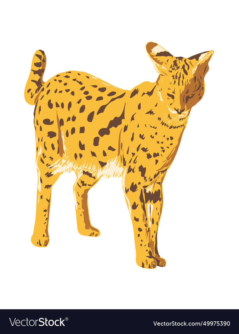 Serval or leptailurus serval side view isolated Vector Image