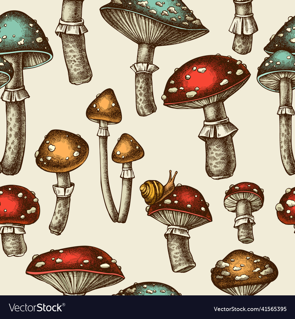 Forest mushrooms seamless pattern background vector image Forest mushrooms seamless pattern background