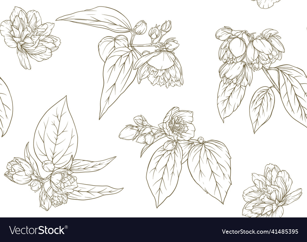 Jasmine seamless pattern background vector image Jasmine seamless pattern background