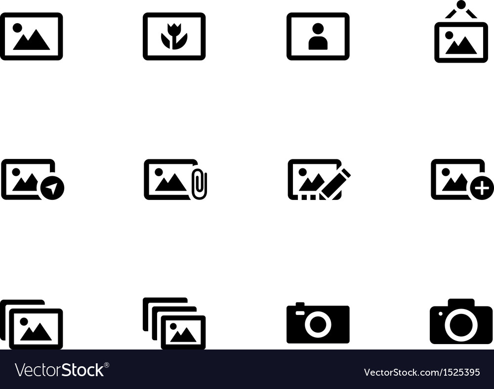 Photographs and camera icons on white background