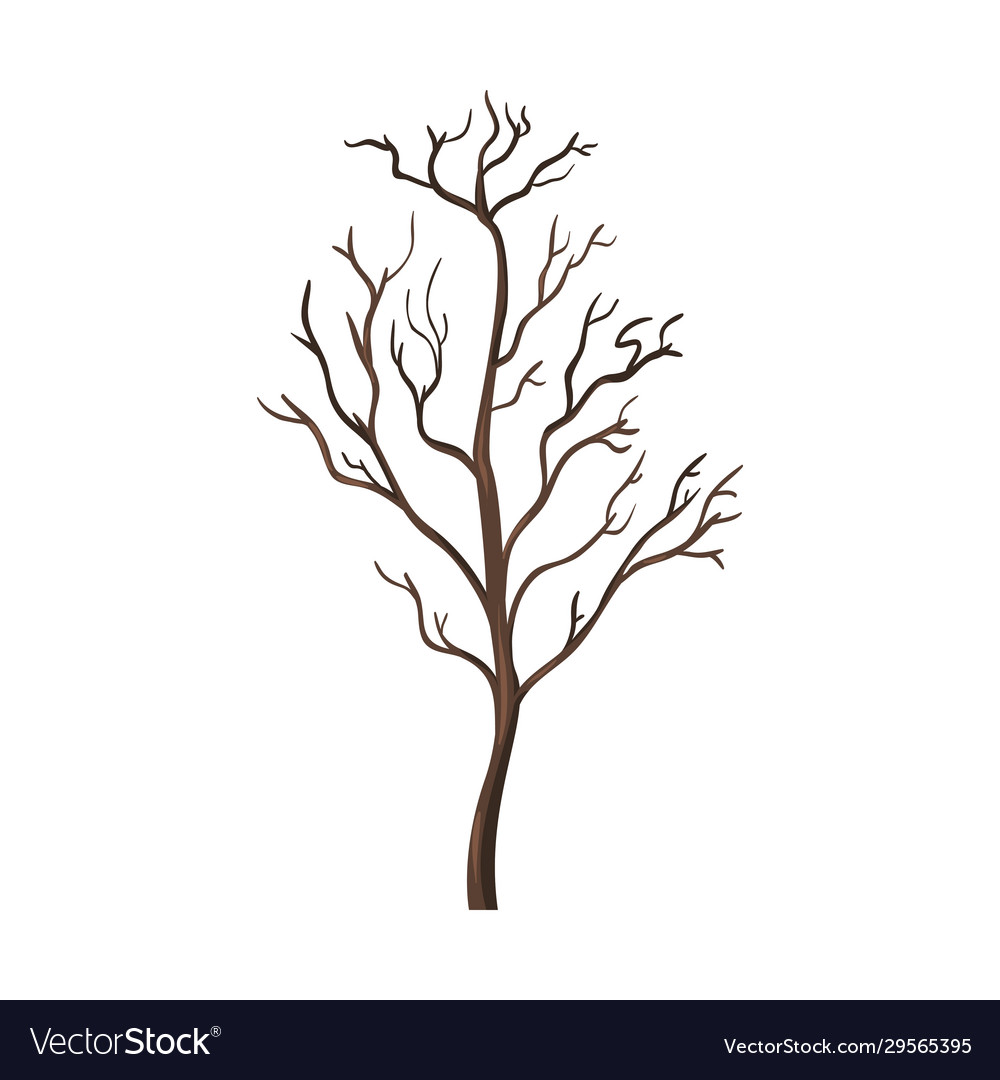 Single cartoon brown bare tree Royalty Free Vector Image