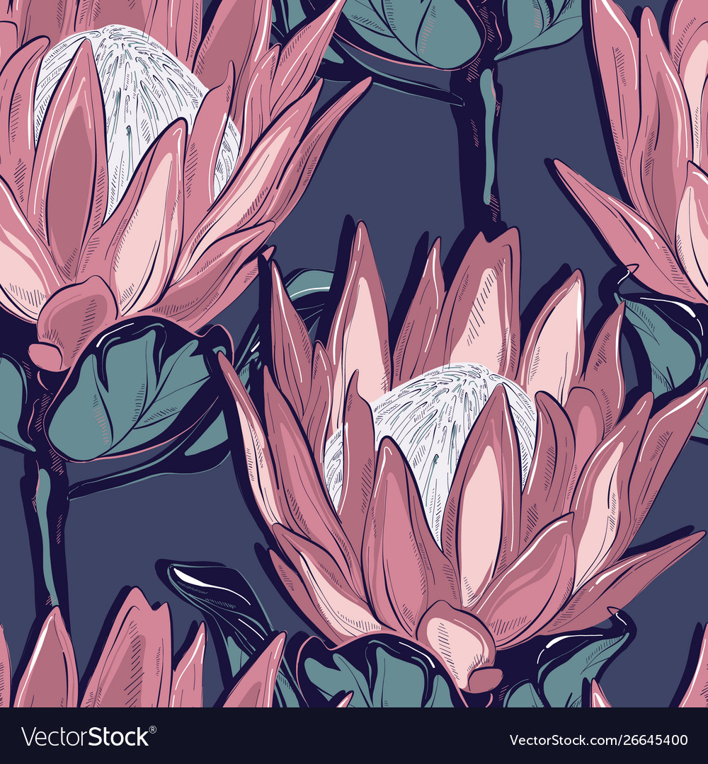 Protea seamless pattern design hand-drawn flower Vector Image