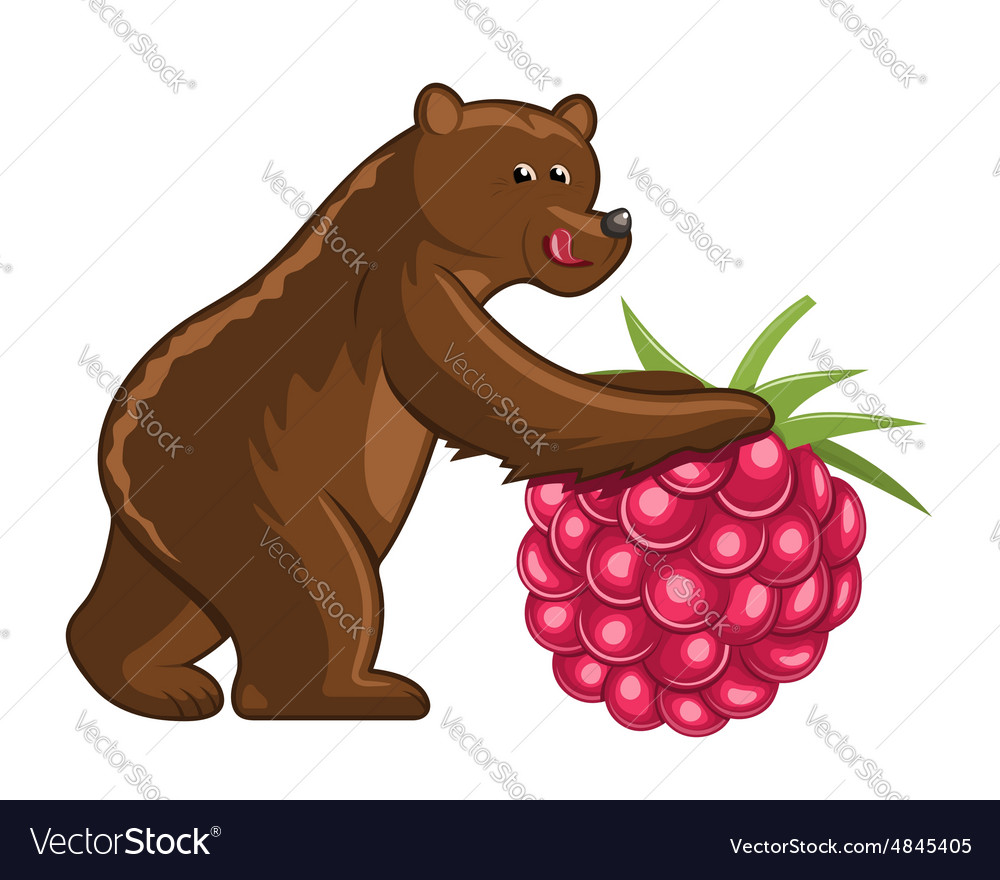 Bear with raspberry