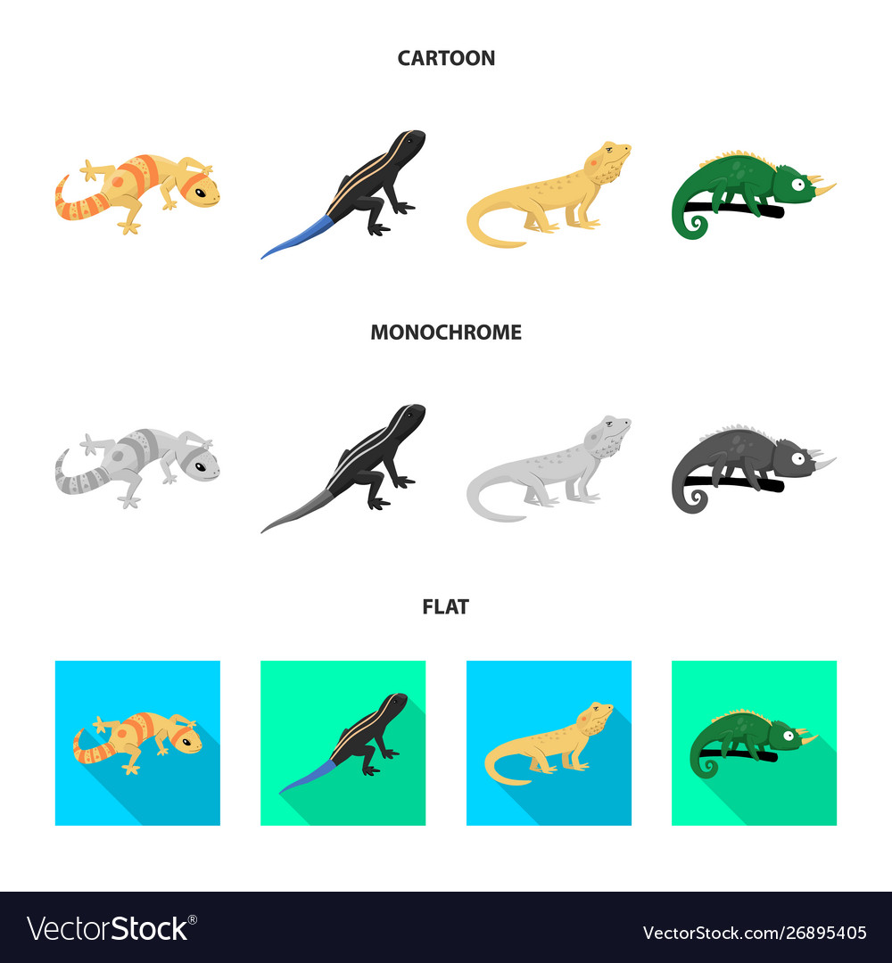 Isolated object tail and fauna icon set vector image Isolated object tail and fauna icon set