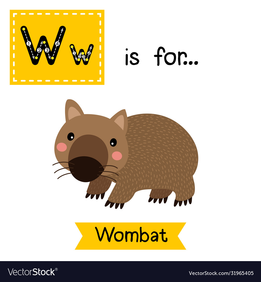 Letter W Tracing Happy Wombat Royalty Free Vector Image