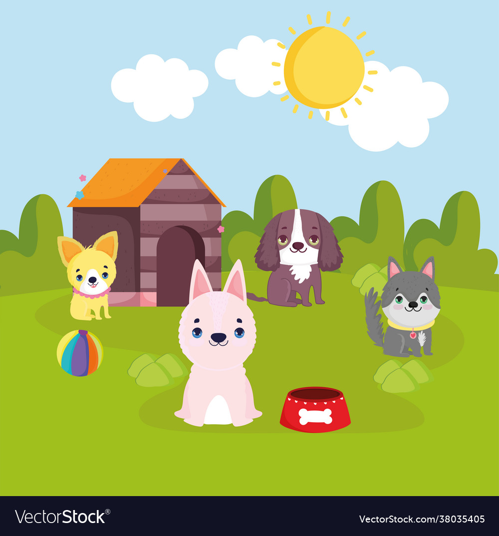 Pets dogs with toys Royalty Free Vector Image - VectorStock