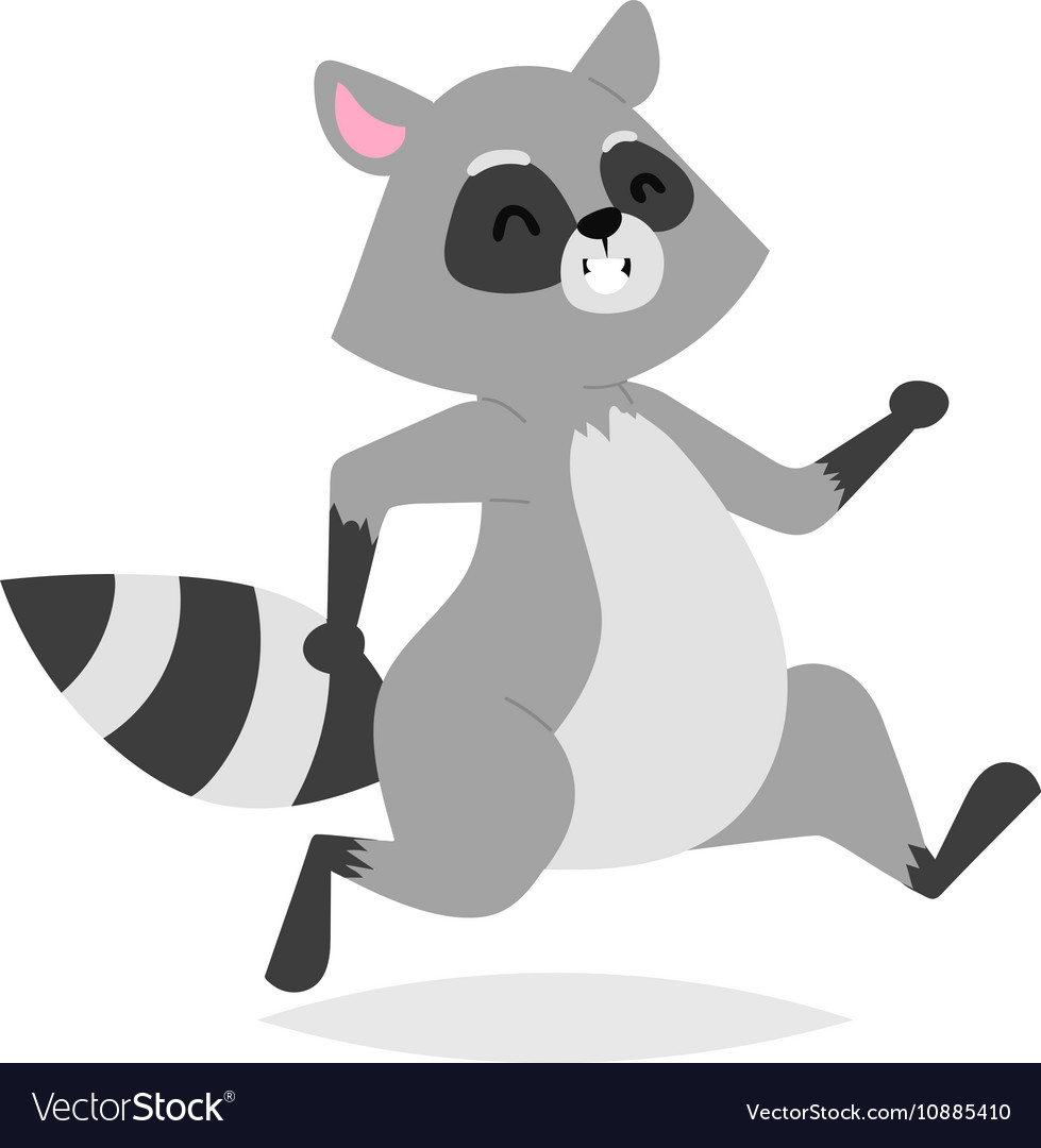 Funny raccoon