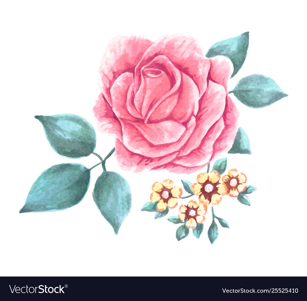 Hand painted watercolor flower Royalty Free Vector Image