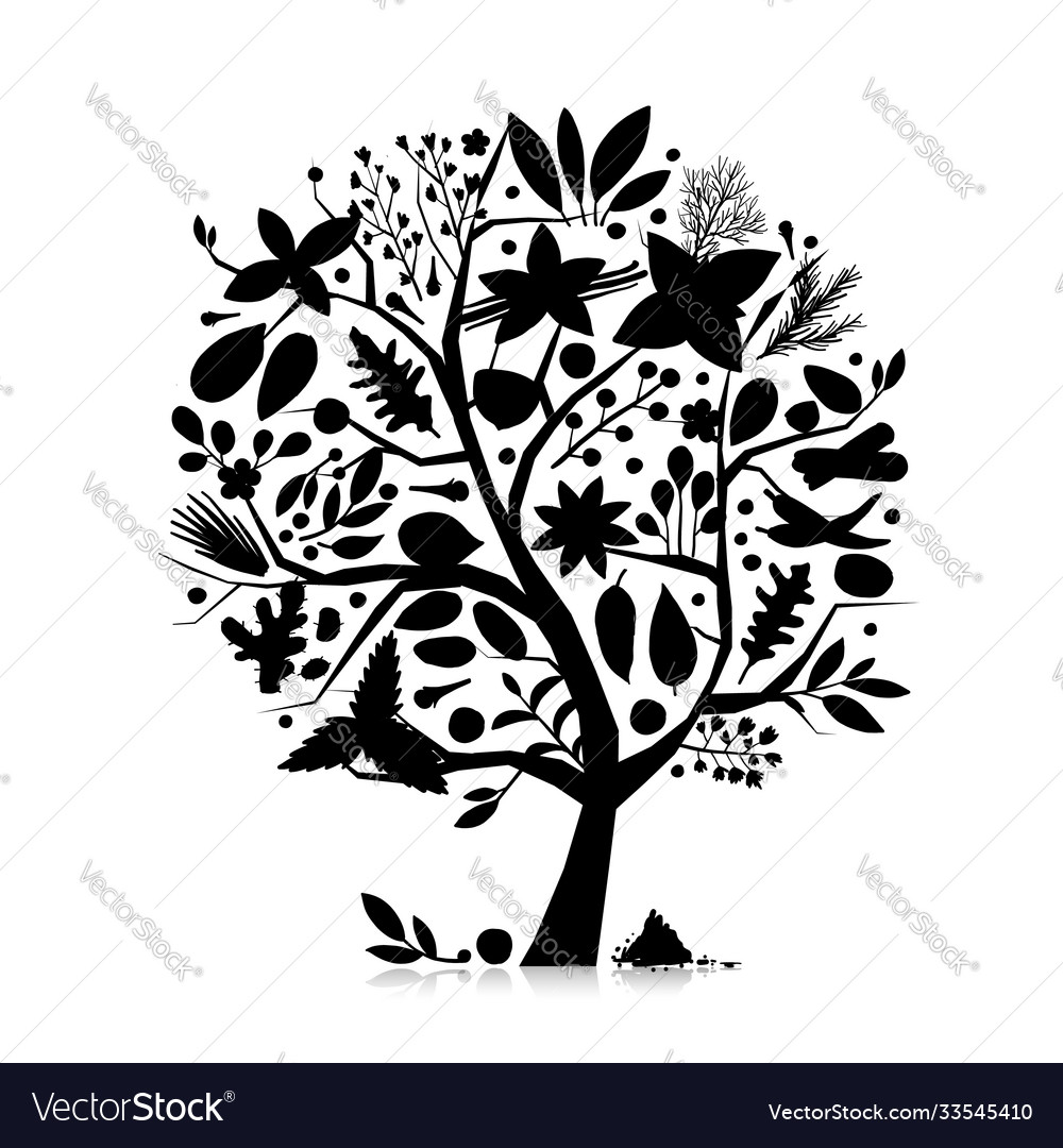 Gewürze & Kräuter Sammlung Baum