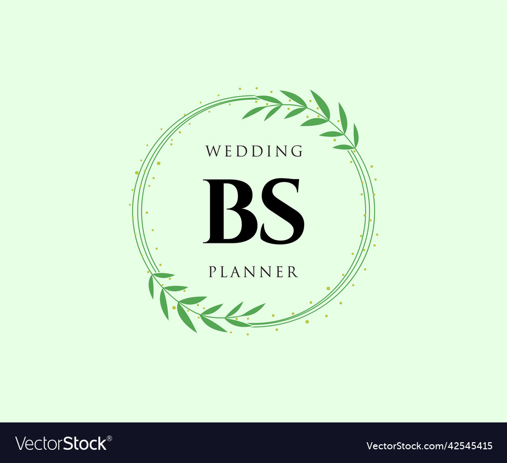 Bs initials letter wedding monogram logos Vector Image
