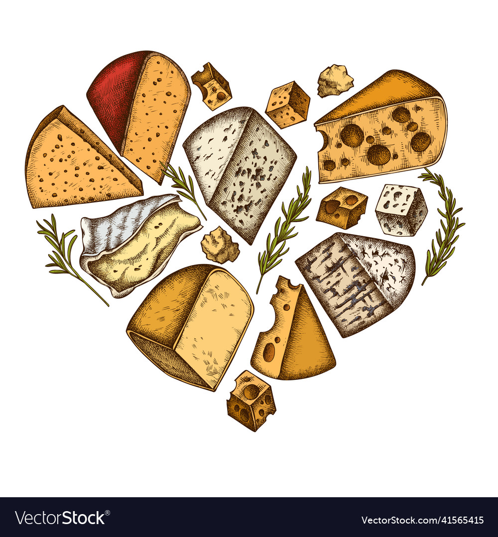 Cheese heart vintage design hand drawn brie Vector Image