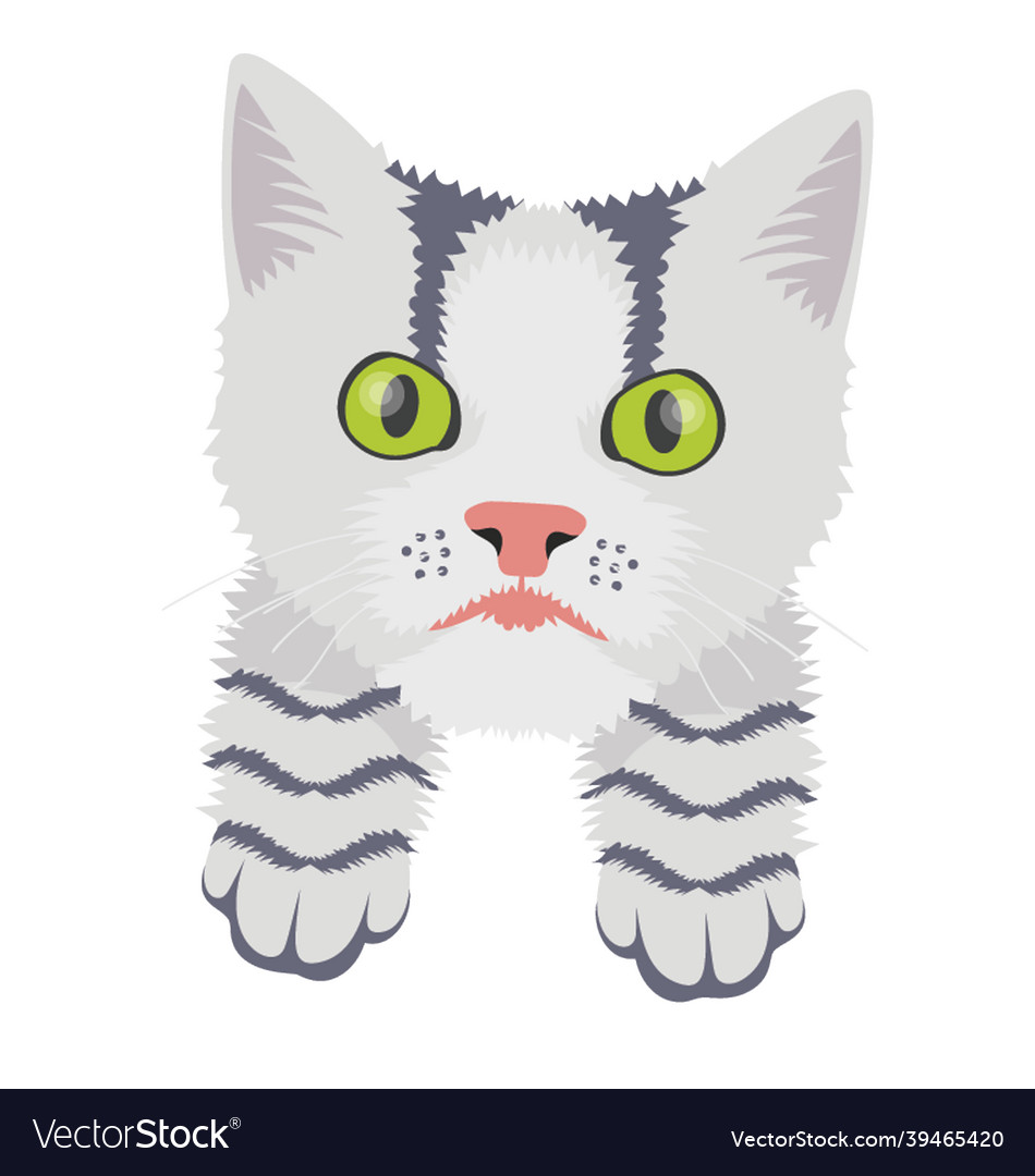 Cross cat Royalty Free Vector Image - VectorStock