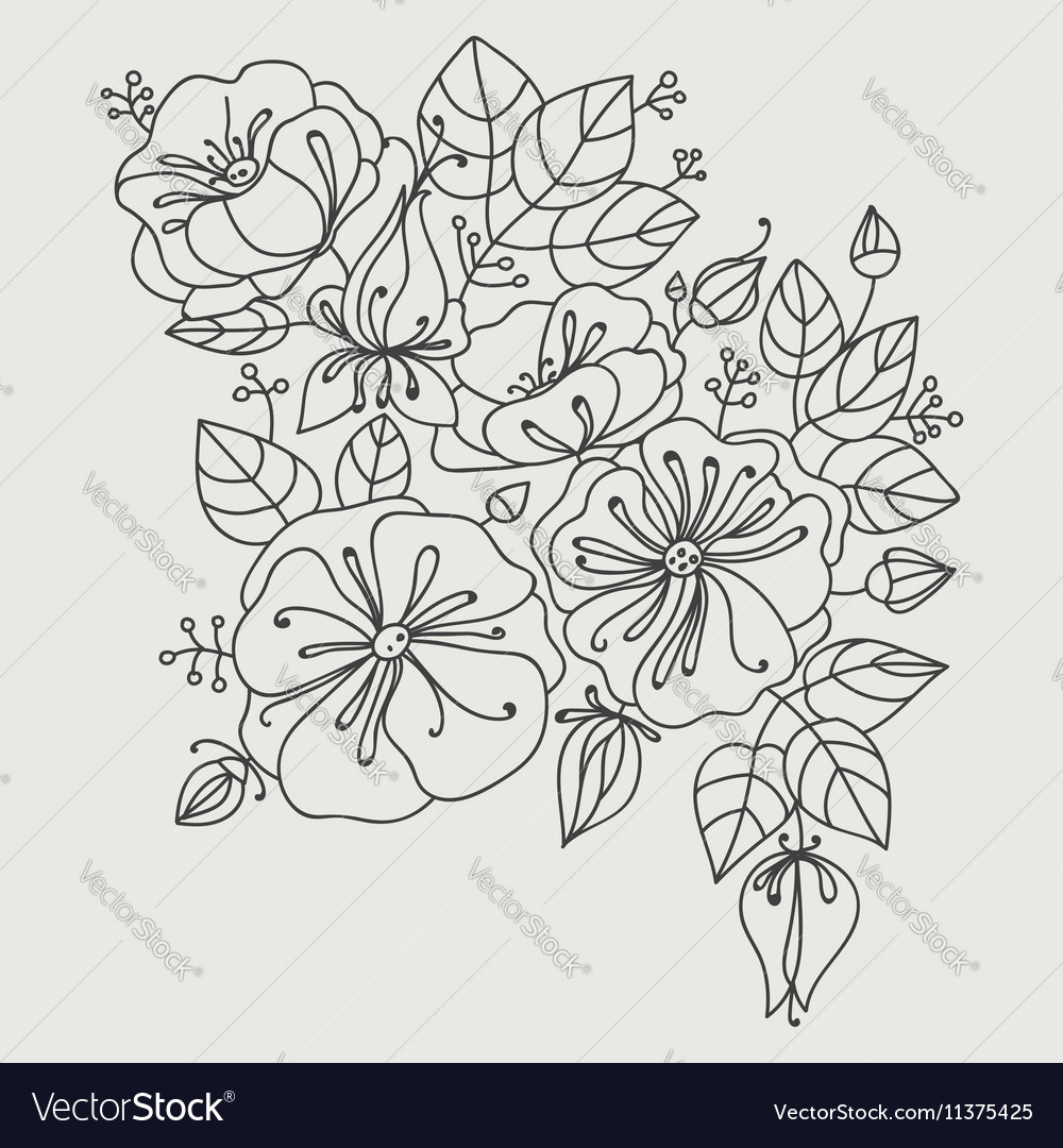 Anemone Royalty Free Vector Image - VectorStock