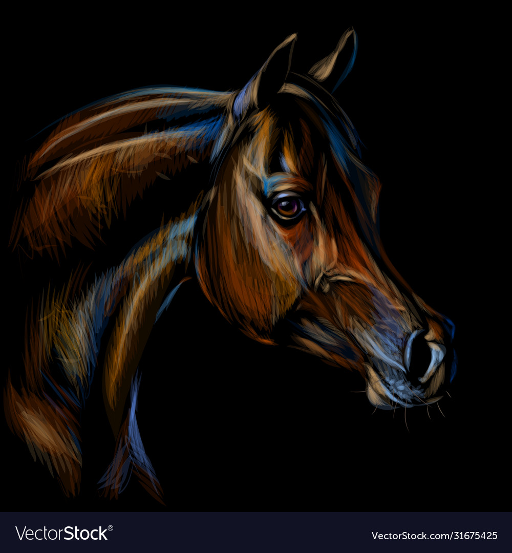 Incredible Compilation of Full 4K Horse Drawing Images Over 999