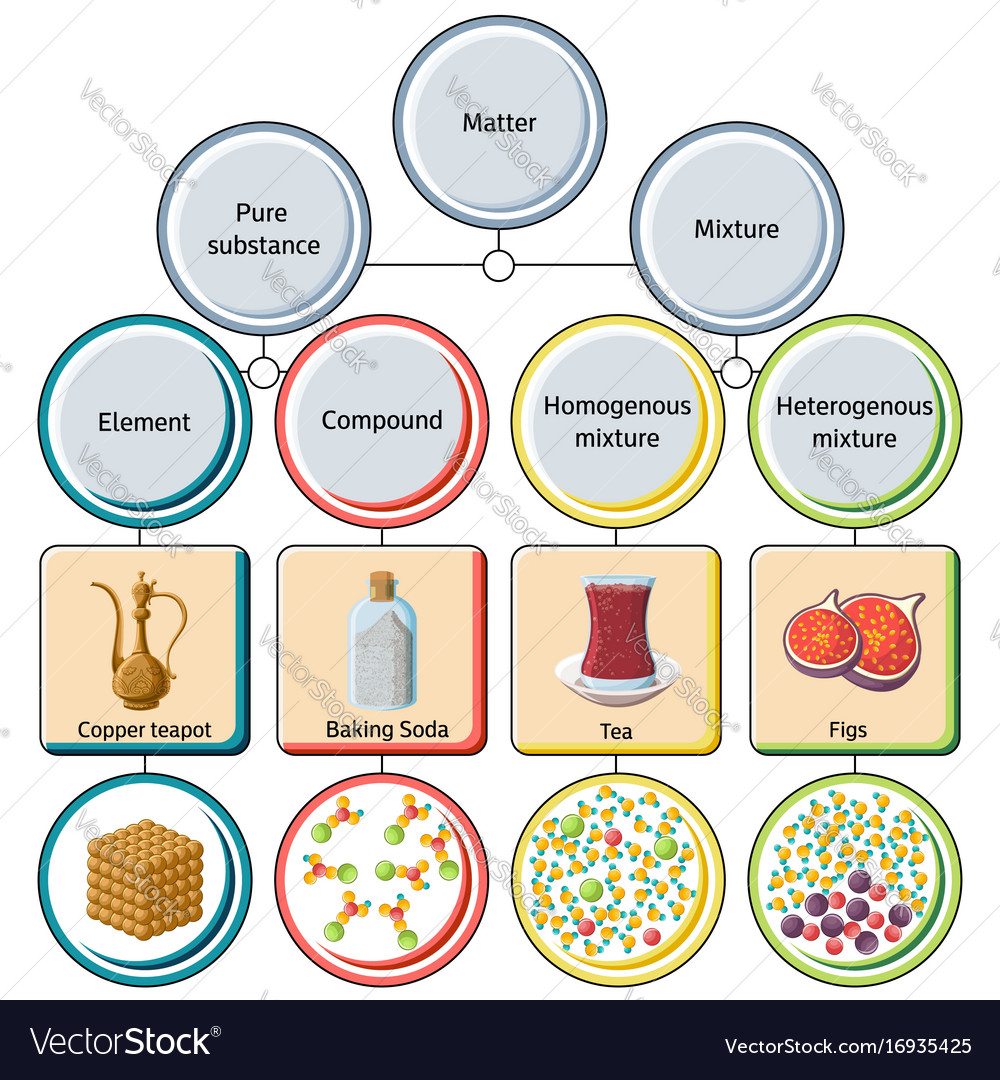 Pure Substances And Mixtures Diagram Royalty Free Vector