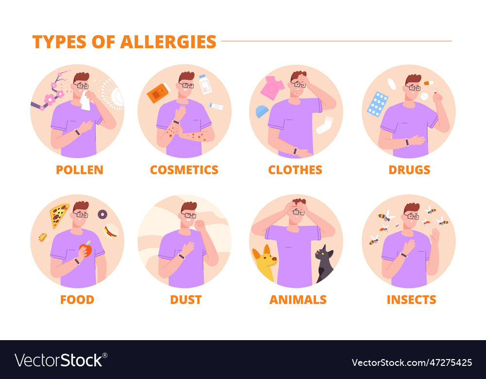 Types of allergies allergy type infographic Vector Image