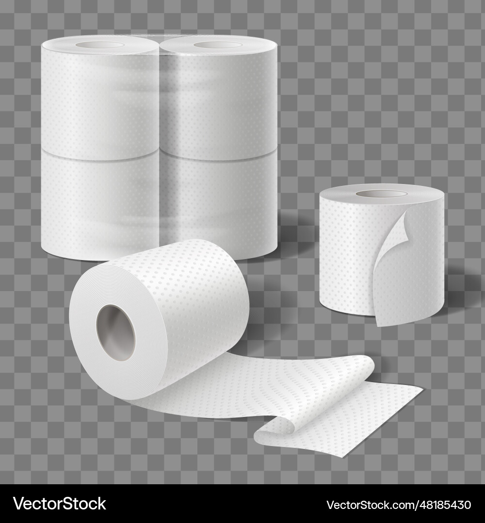 Bath tissue rolls composition Royalty Free Vector Image