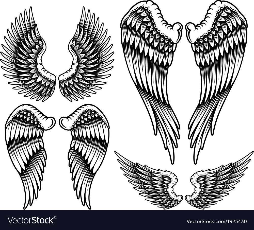 Set Of Wings Royalty Free Vector Image - Vectorstock