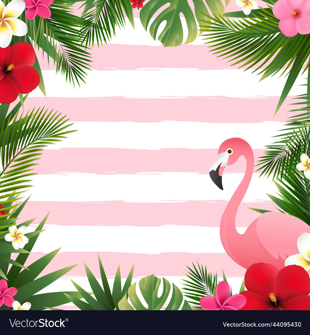 Summer border and flowers and leaves and flamingo Vector Image