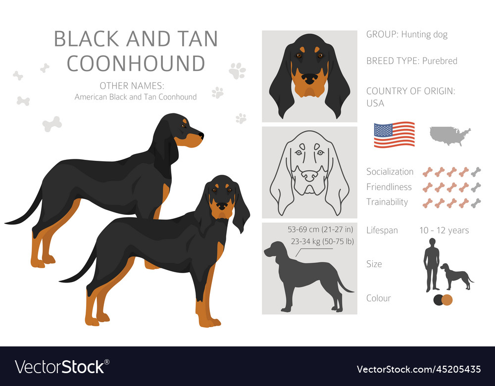 Black and tan coonhound clipart different coat