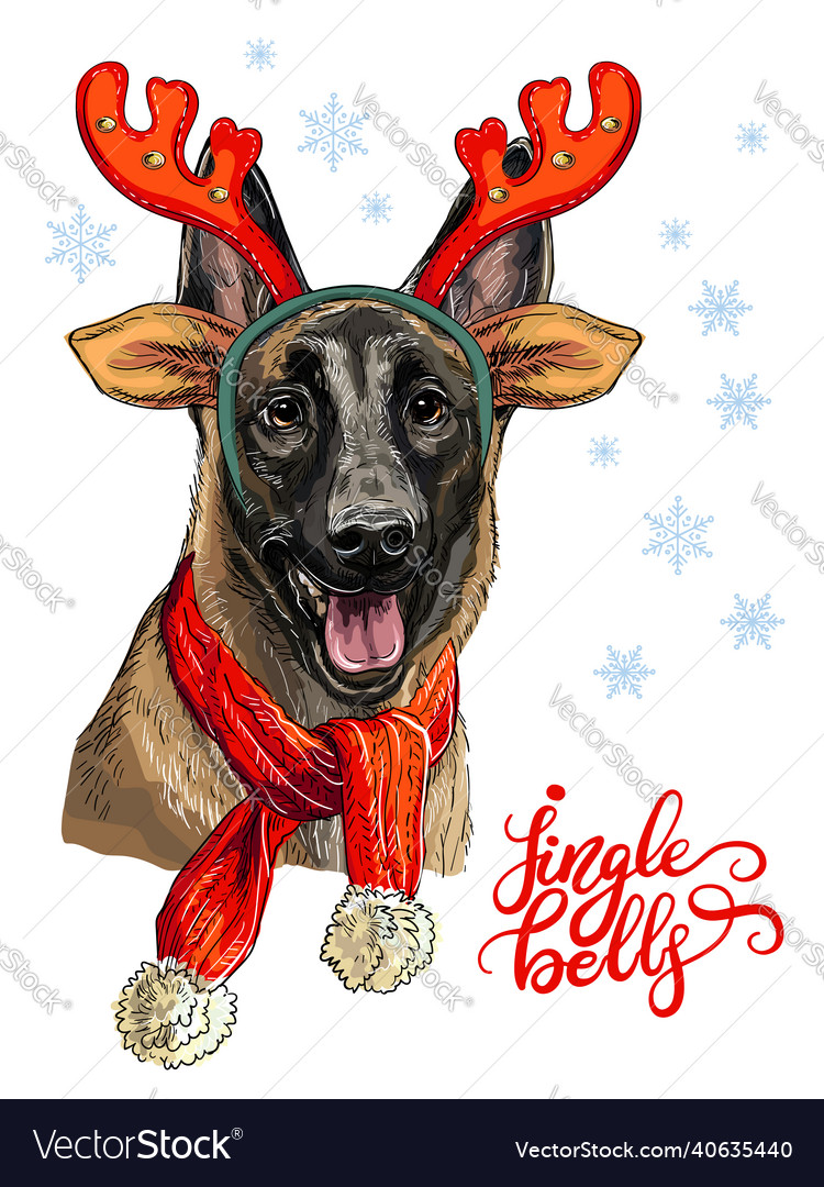 Merry Christmas with My Loved Dog Pastor Belga Malinois Verde Buffalo Xadrez  Bandeira Graden Inverno Feriado Guirlanda Decorativa Sazonal Banner para  Fora 32,5 x 45,7 cm Impresso Dupla Face : : Casa