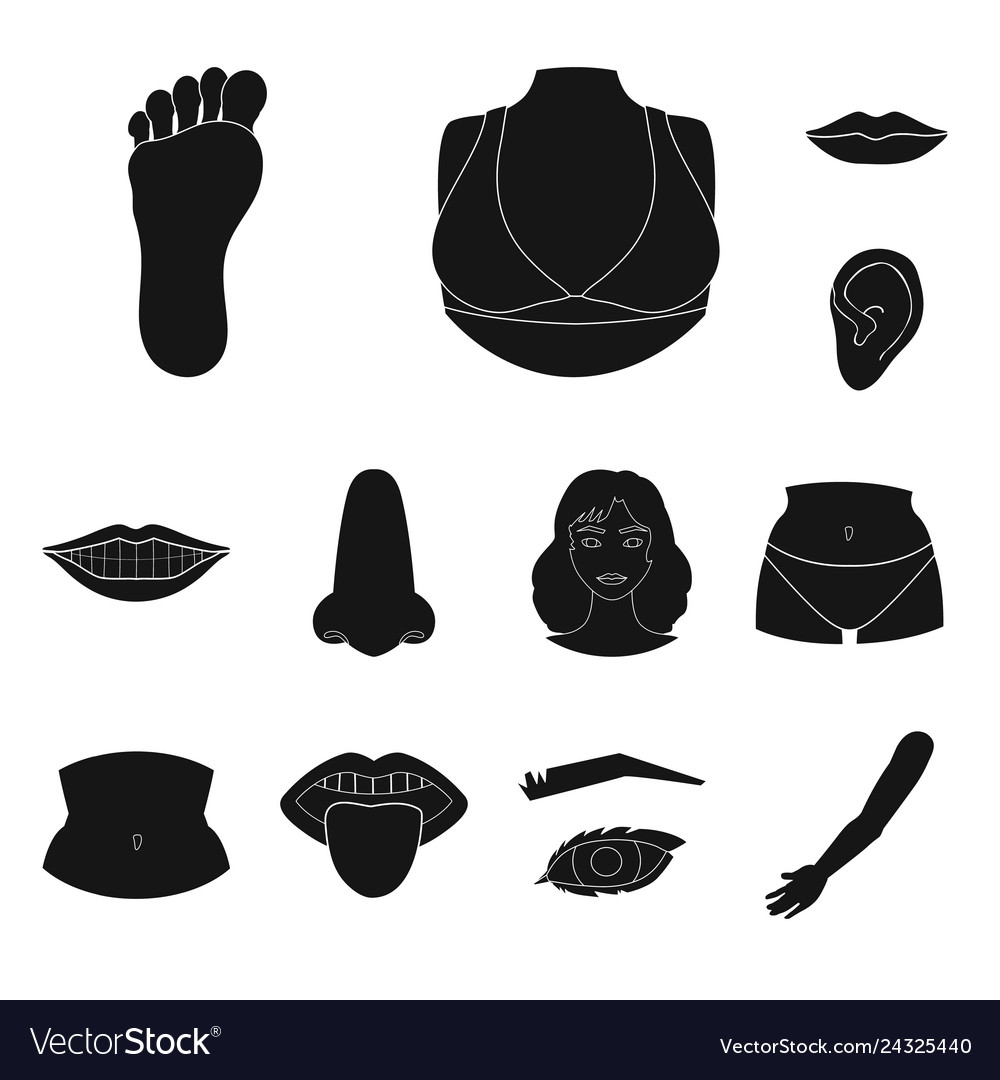 Design of body and part icon set vector image Design of body and part icon set