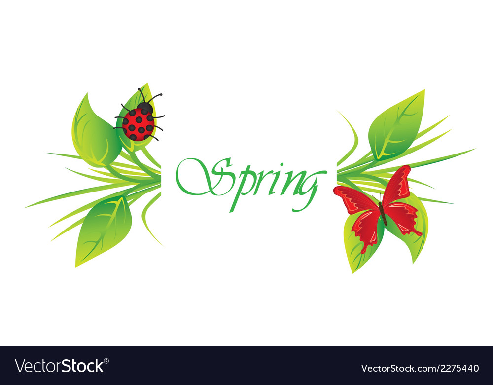 Spring and summer background