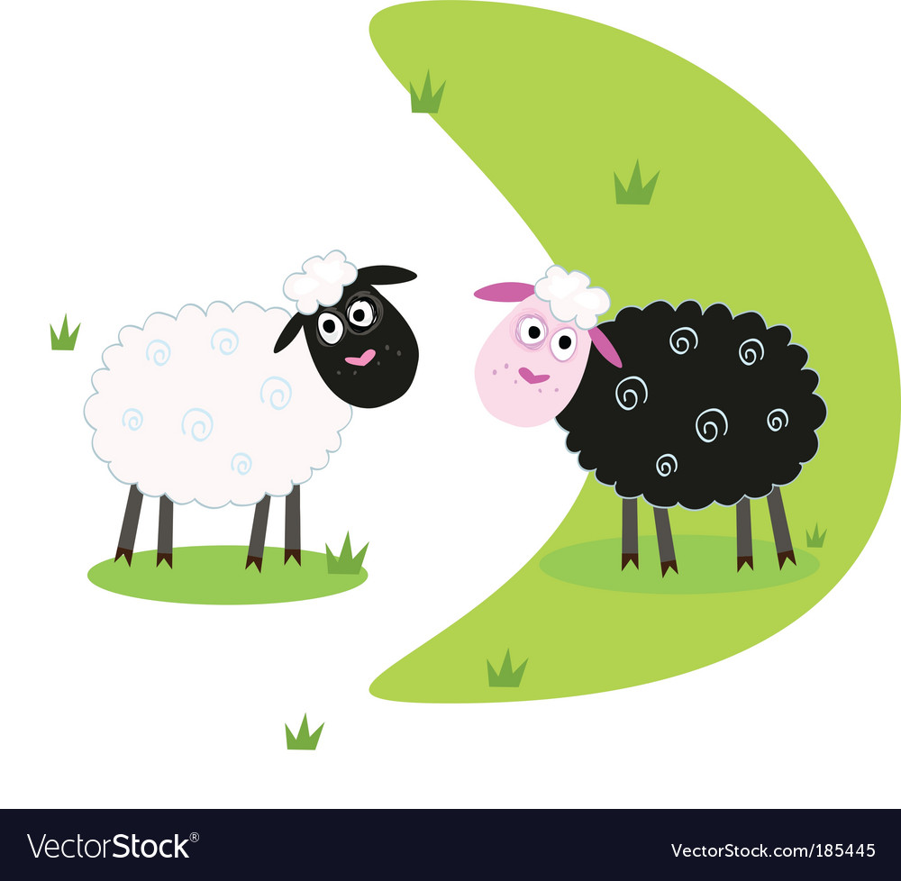 Cartoon Sheep