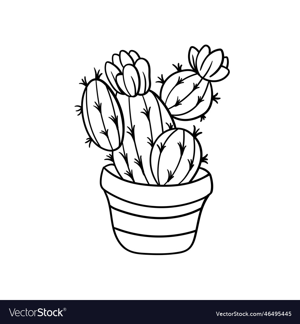 Vector Hand Drawn Doodle Sketch Black Outline Cactus Stock