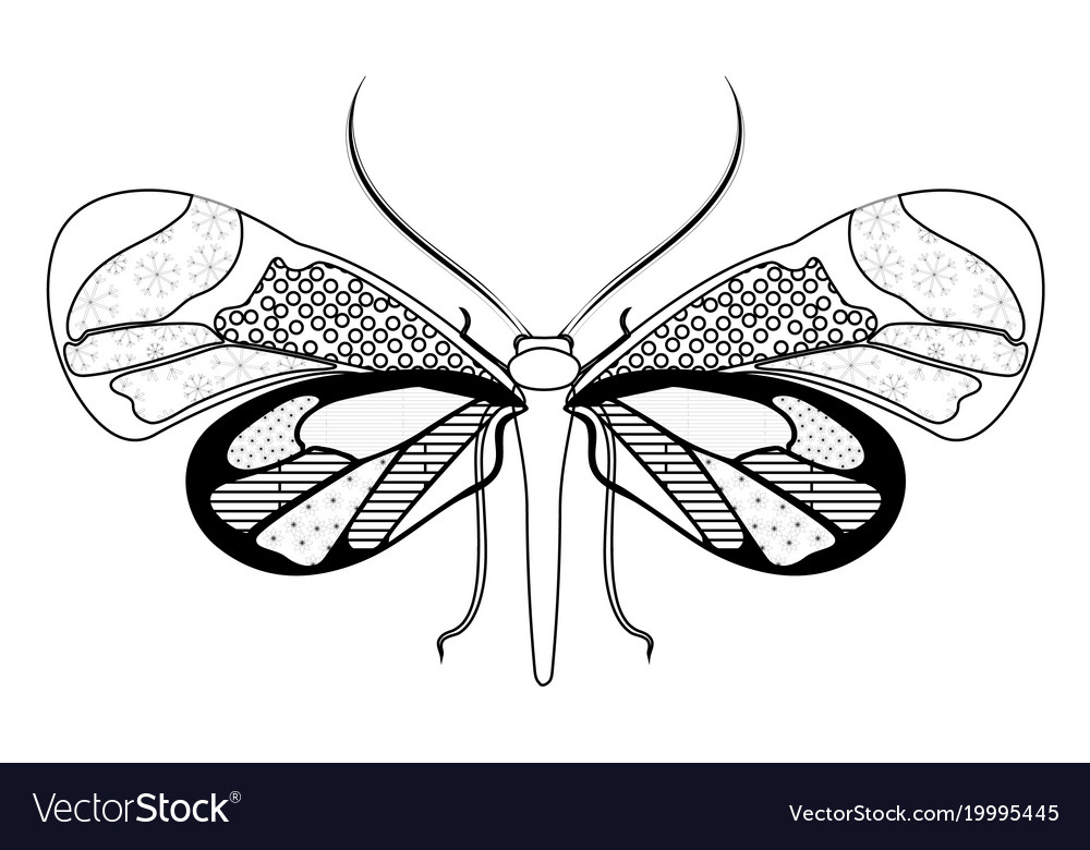 Free Free Simple Butterfly Svg Free 78 SVG PNG EPS DXF File