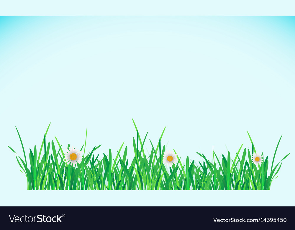 Green grass border Royalty Free Vector Image - VectorStock