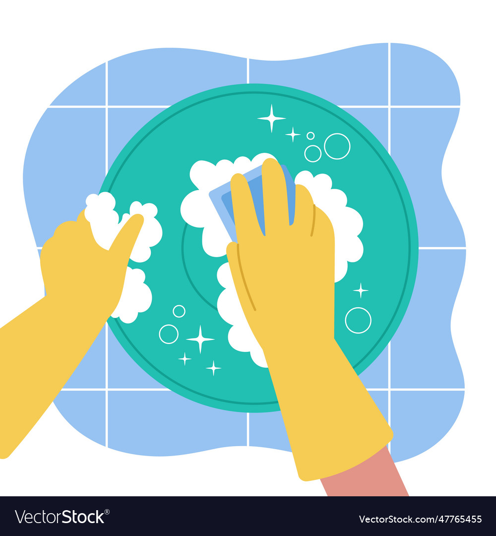 Cleaning food plate clean dish in kitchen sink Vector Image