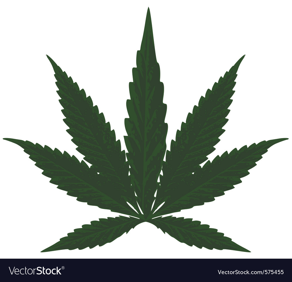 Marijuana Royalty Free Vector Image - VectorStock