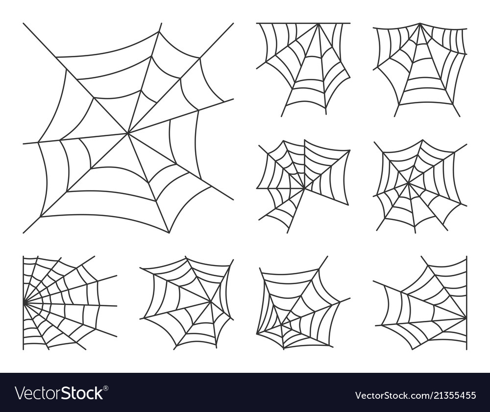 Thin Line Spider Web Icon Set