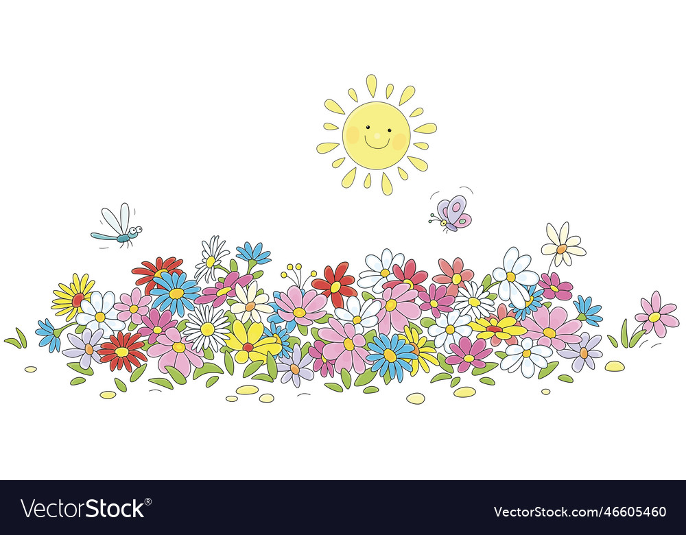 Colorful flowerbed on a sunny summer day