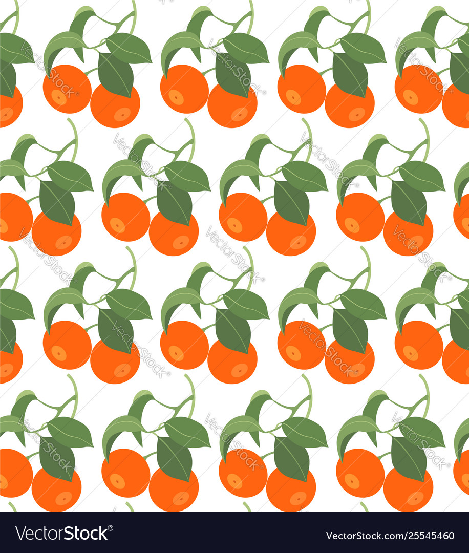 Seamless pattern with tangerines vector image Seamless pattern with tangerines