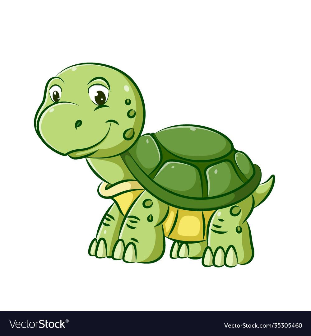 Young turtle with green shell is walking Vector Image