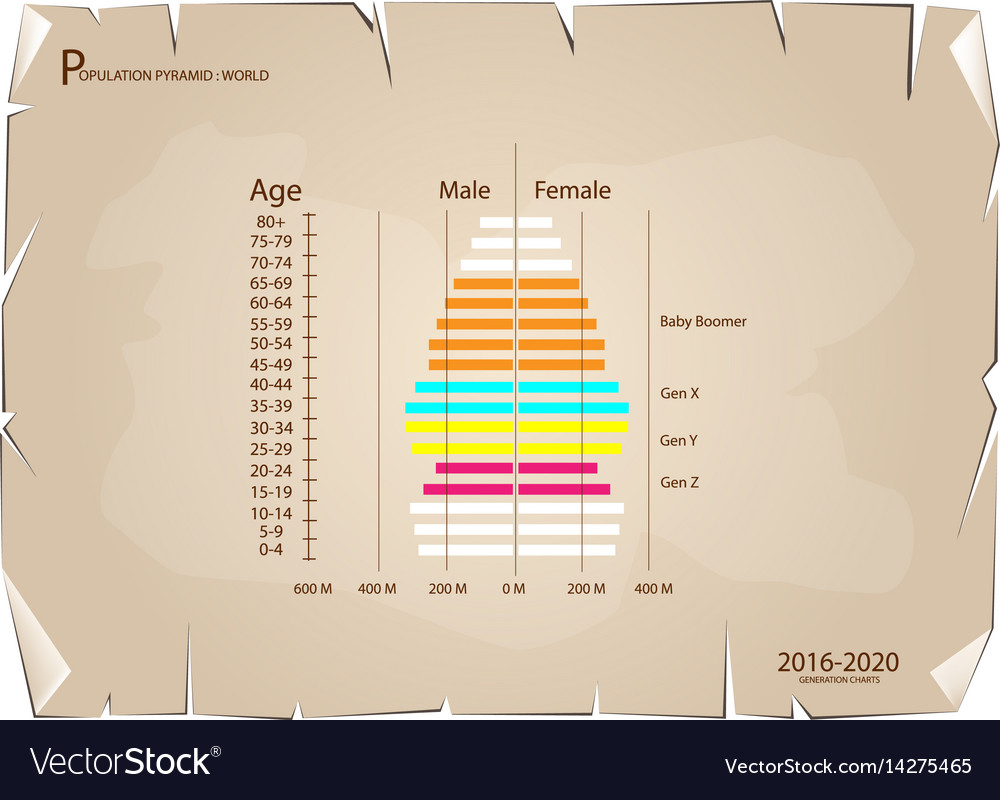 2016-2020 population pyramids graphs with 4 genera