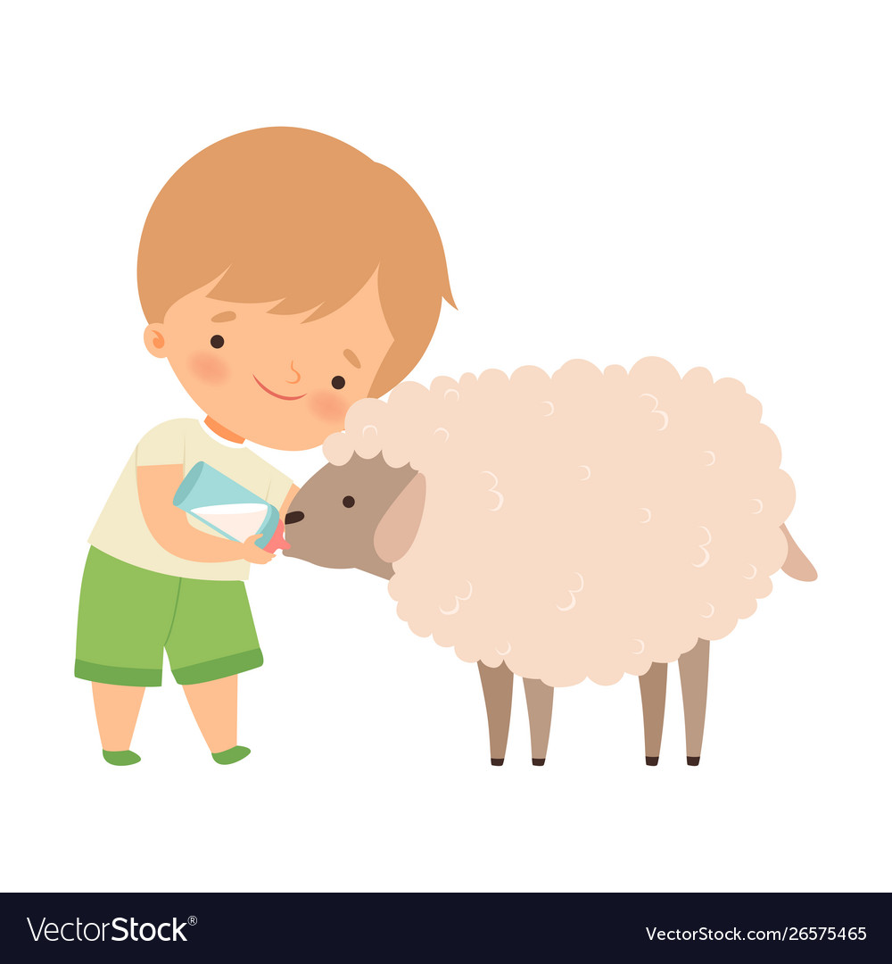 Cute little boy feeding lamb with milk bottle