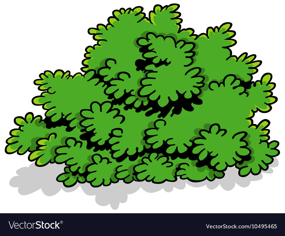 Green cartoon shrub Royalty Free Vector Image - VectorStock