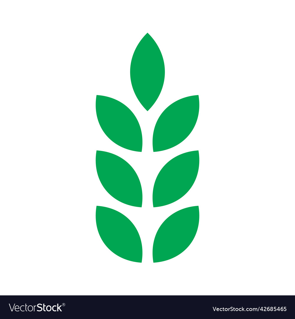 Green wheat solid icon