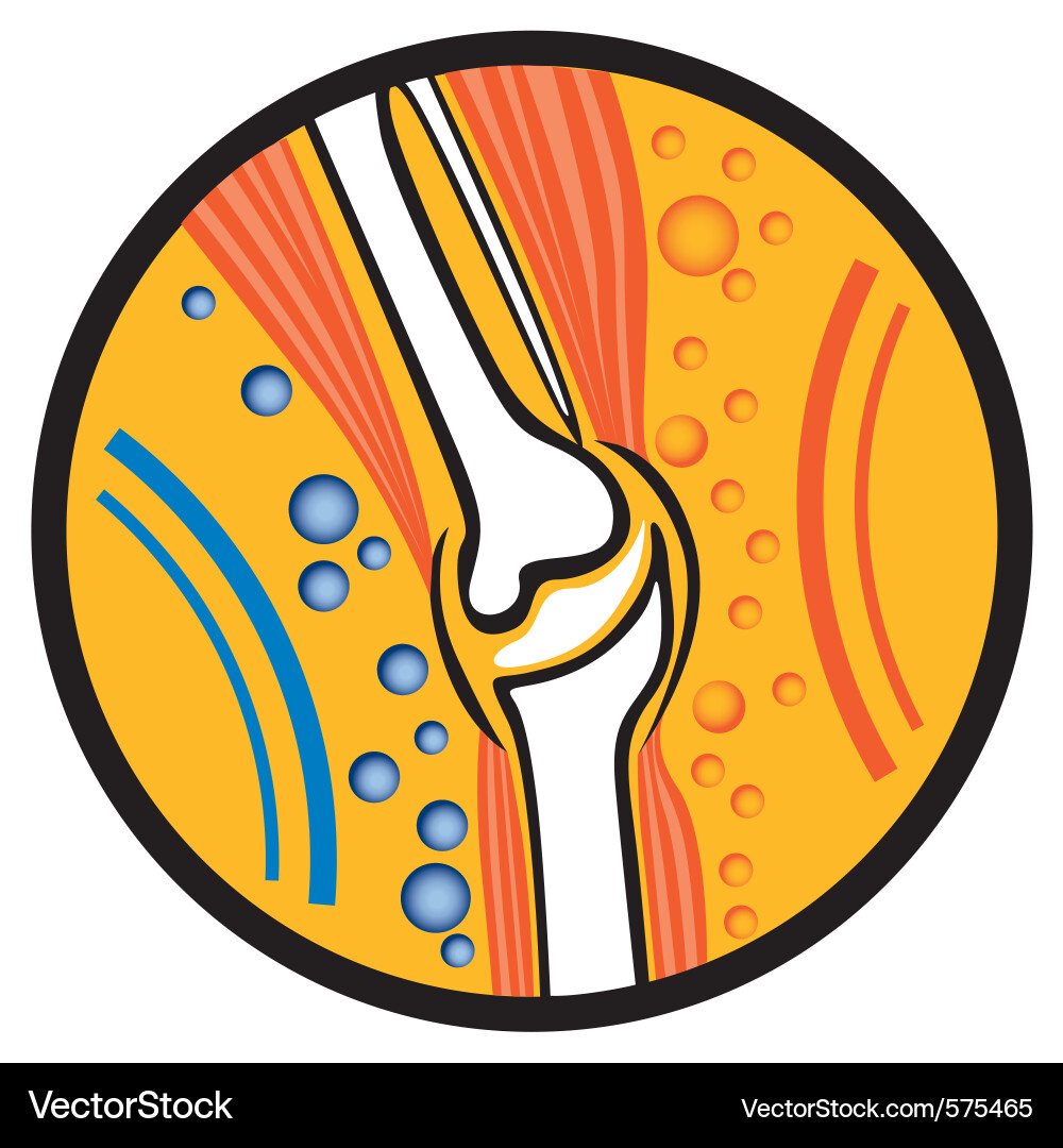 Human Joint Anatomy Royalty Free Vector Image - VectorStock