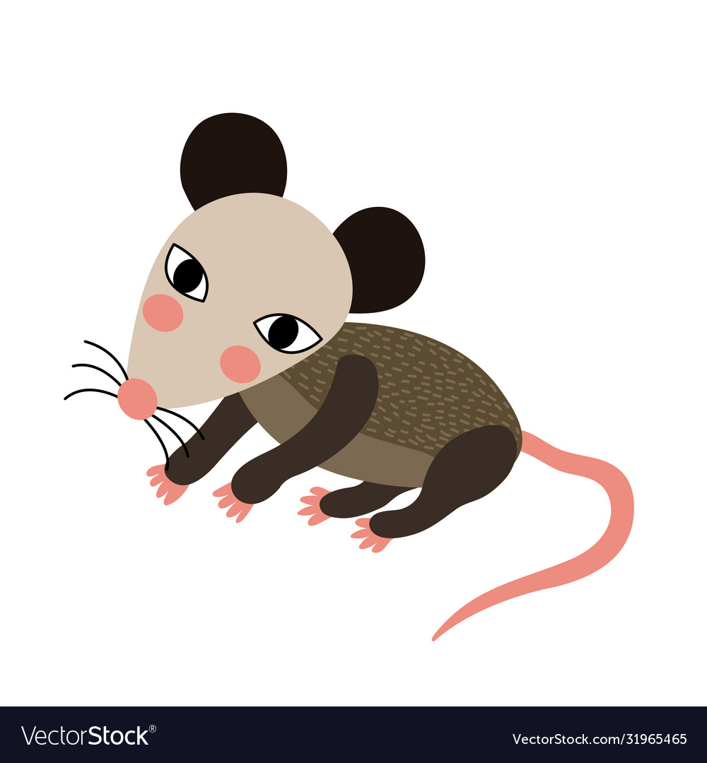 Opossum animal cartoon character Royalty Free Vector Image