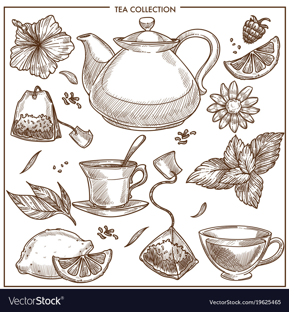 Tea collection sketch icons of cups teapot Vector Image