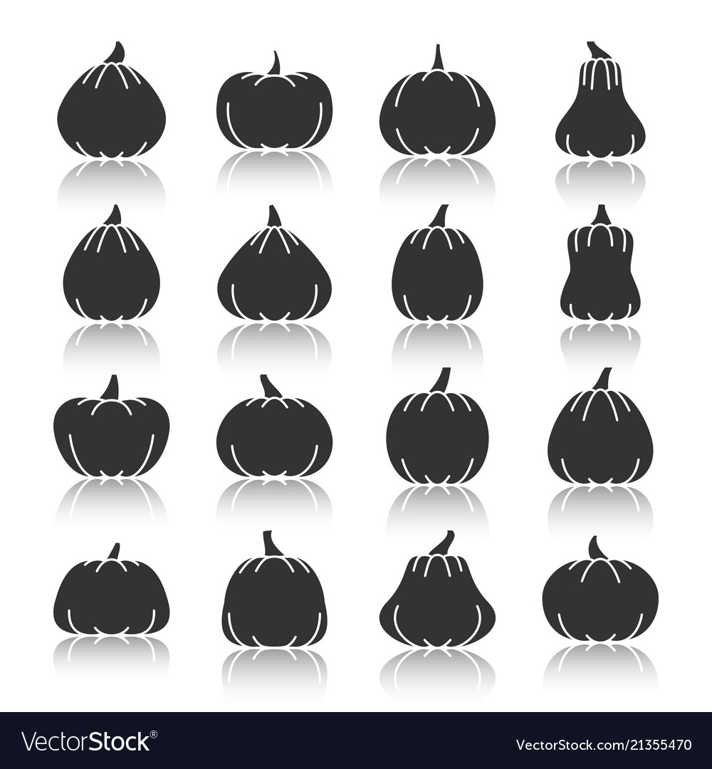 Pumpkin black silhouette with reflection icon set