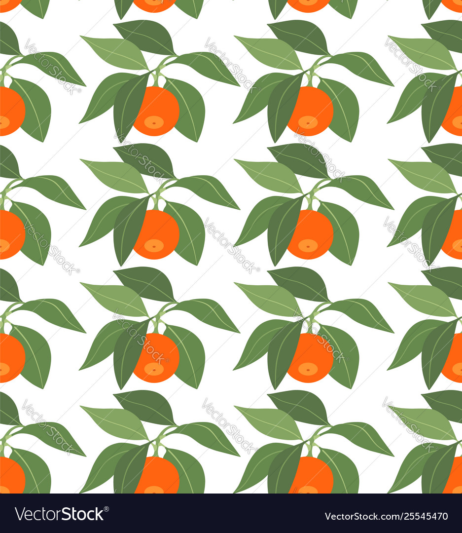 Seamless pattern with tangerines and leaves vector image Seamless pattern with tangerines and leaves