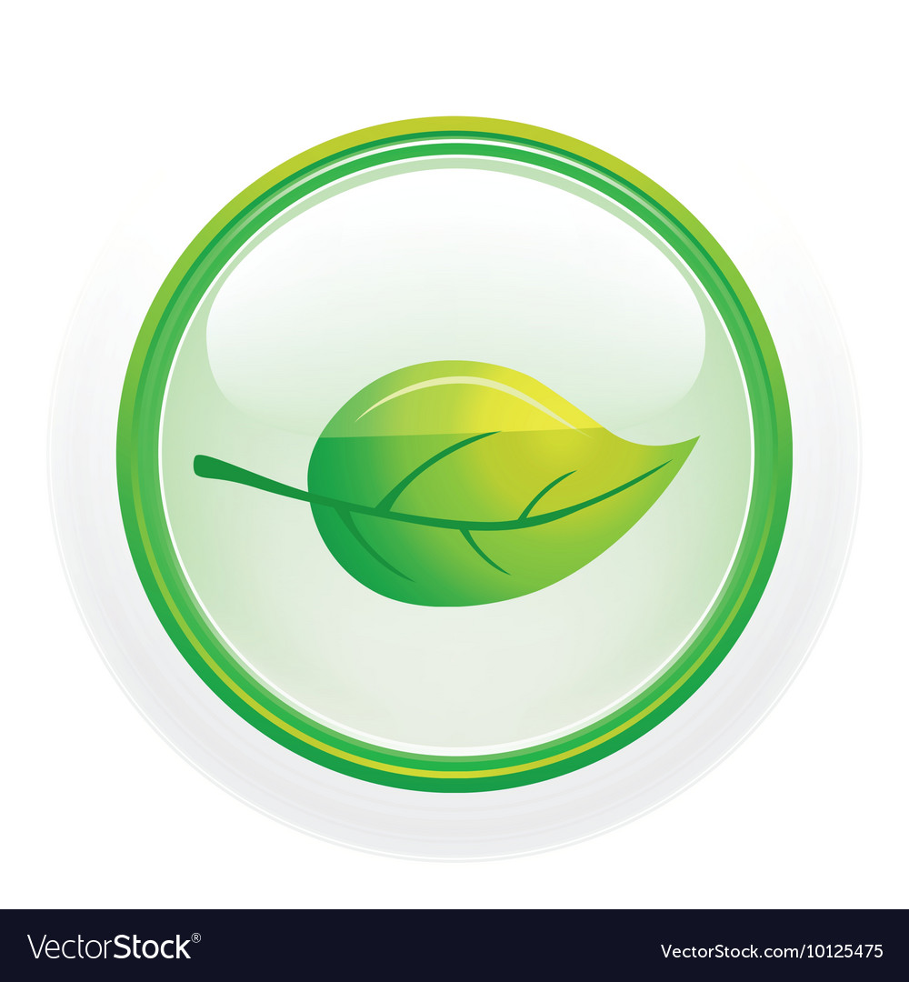 Glossy button