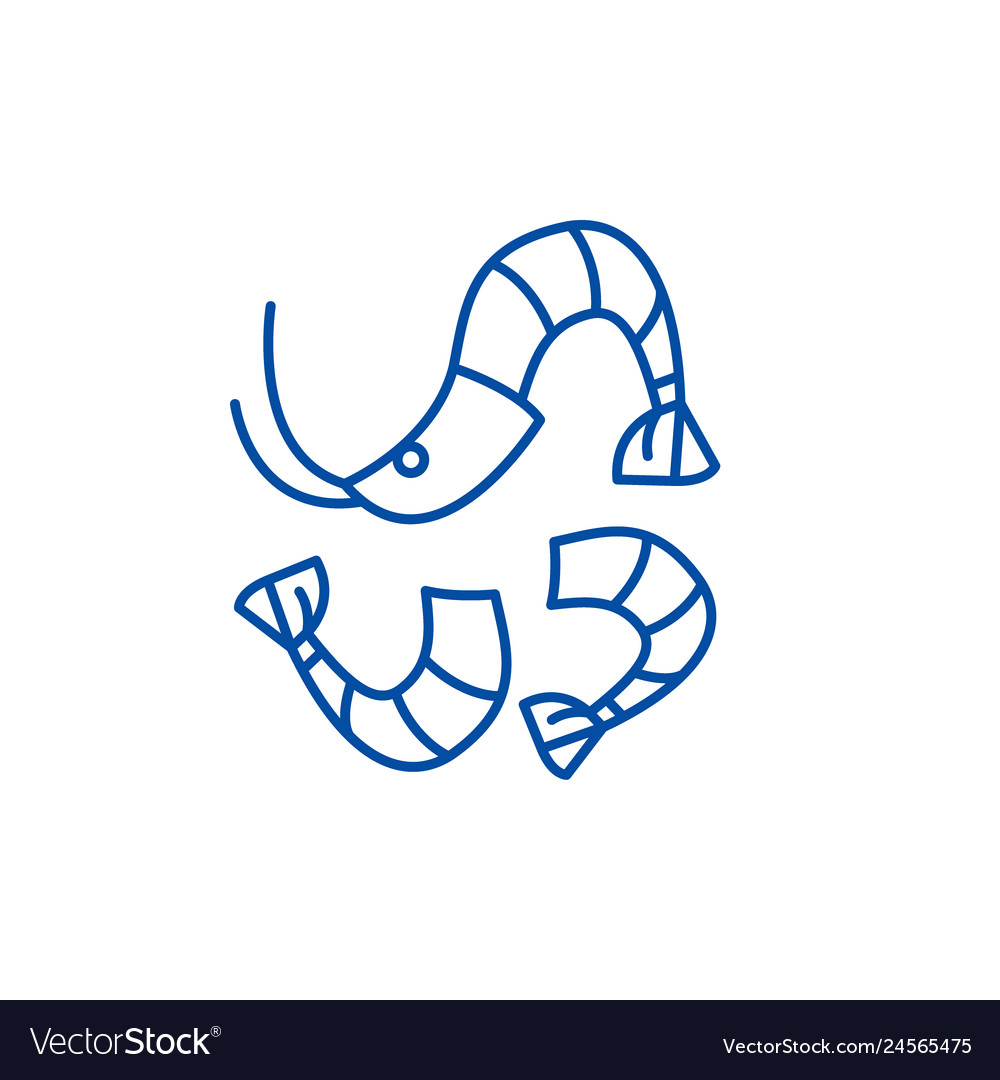 Shrimp line icon concept flat